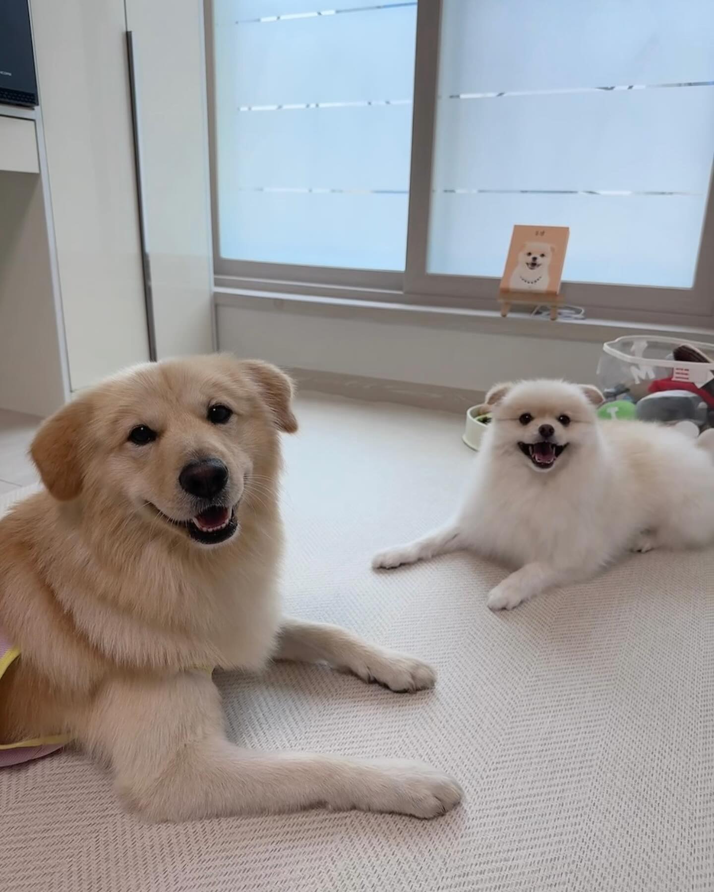 yulm_ooz 귀염둥이 또 놀러왕✌🏻💛