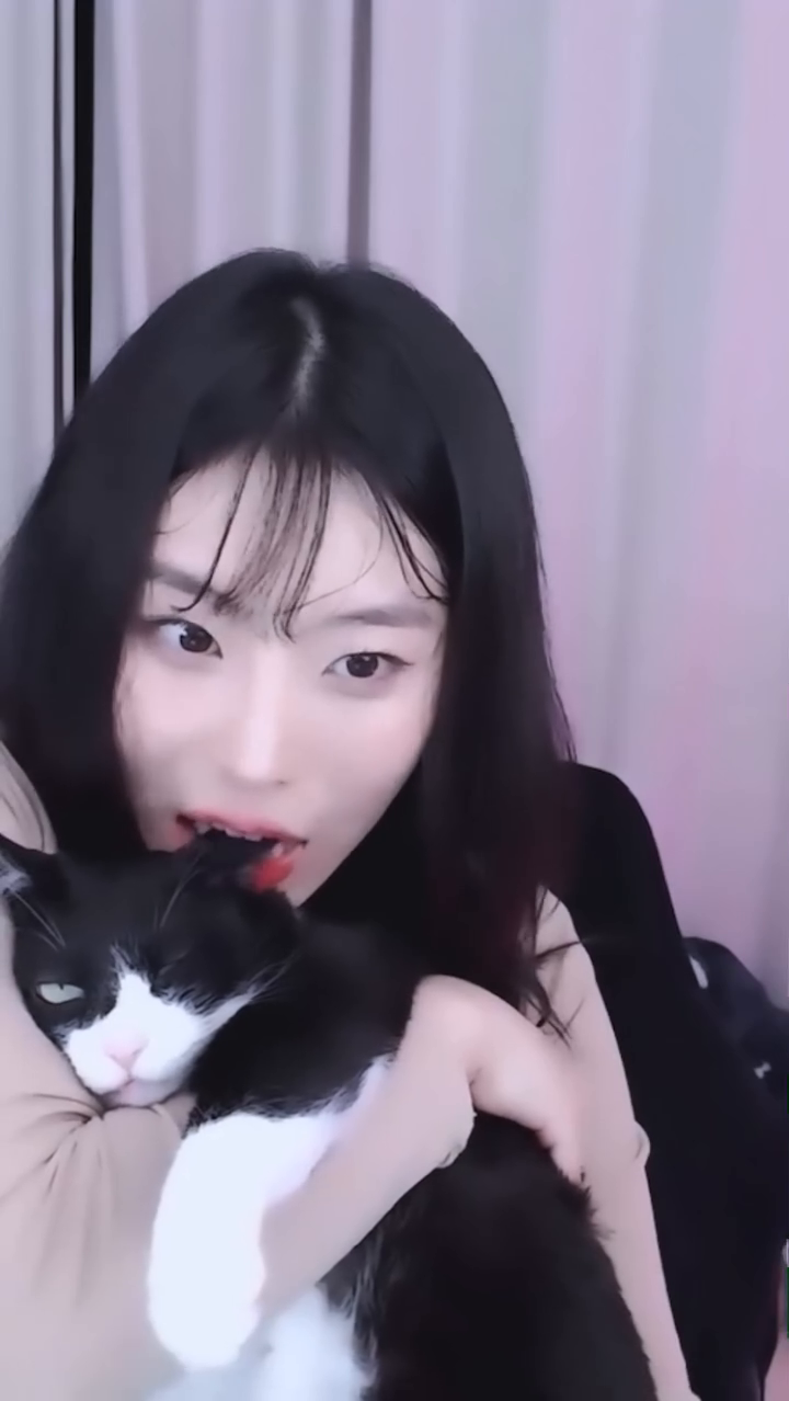 콘텐츠