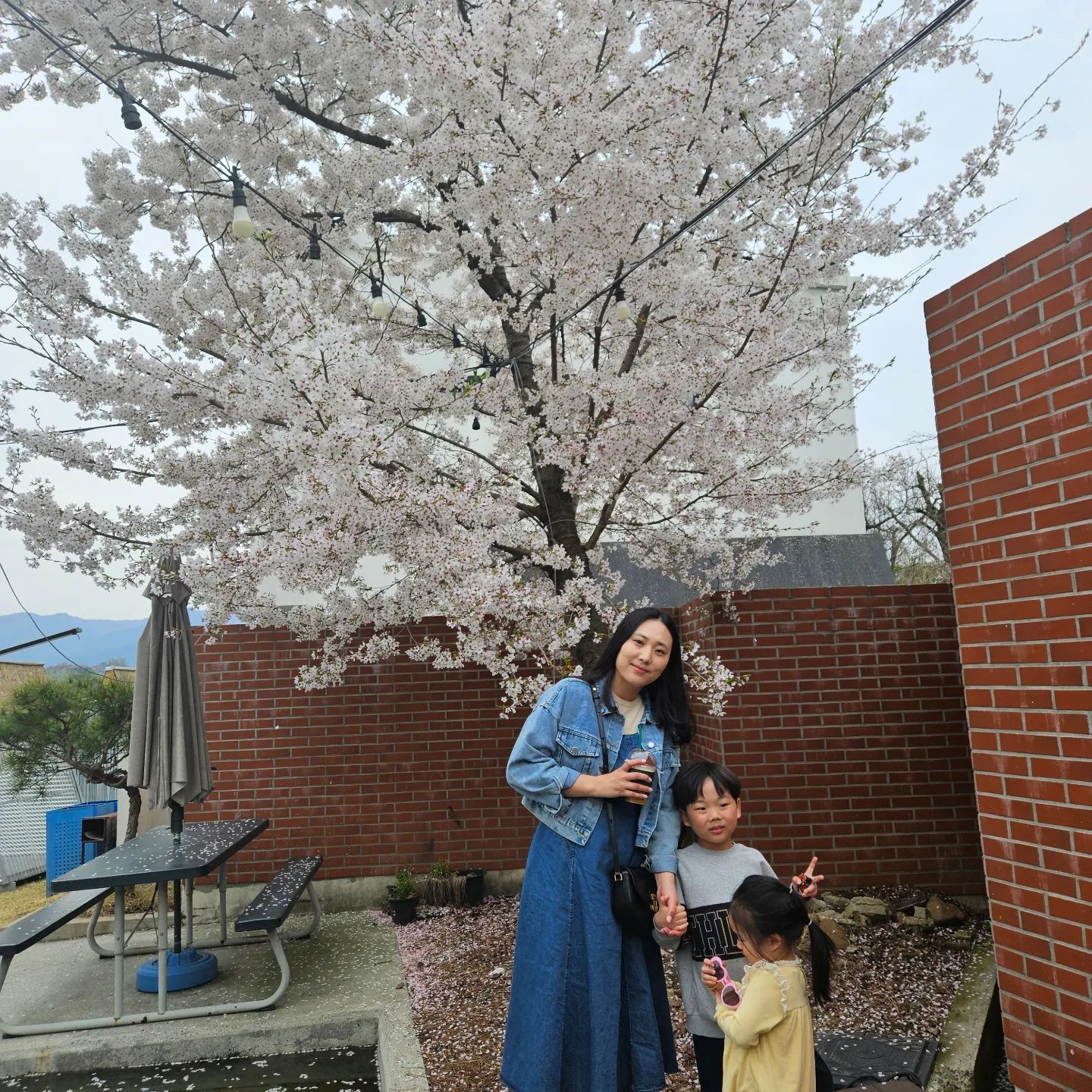 지난주말에 막바지 벚꽃구경🌸
다행히 부산 내려가는 길에 벚꽃이 다 안 떨어져서
내려가는 길에 계속 벚꽃구경하고
점심 먹으러 간 곳에도 벚꽃이 있어서 사진도 남겨보고
부산의 벚꽃명소인 부경대, 황령산에서도 벚꽃구경하고
부산시민공원에서는 튤립도 구경하고🌷

부산은 벚꽃 끝물이지만, 그래도 구경잘했당❤️
벚꽃핀 봄이 짧게 지나가면서 곧 여름인데??
