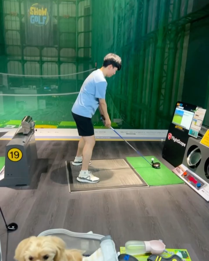 강아지 동반 가능 골프연습장❤️ 쇼골프⛳️

내새꾸 집에 안기다려도 되고 함께 할 수 있지요🥰

오늘도 우리는 쇼골프로‼️🏌️‍♂️

#쇼골프 #쇼골프타운 #쇼골프김포공항점 #이벤트 #골프연습장 #골프장 #골프장이벤트 #golf #쇼골프 #플라이트스코프 #fs타석 #골프연습장