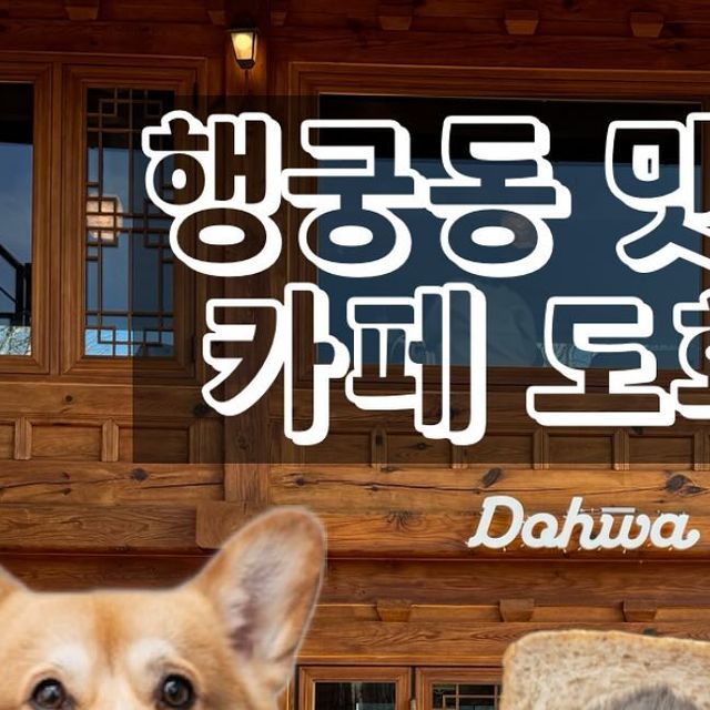 zupzup animal on Instagram