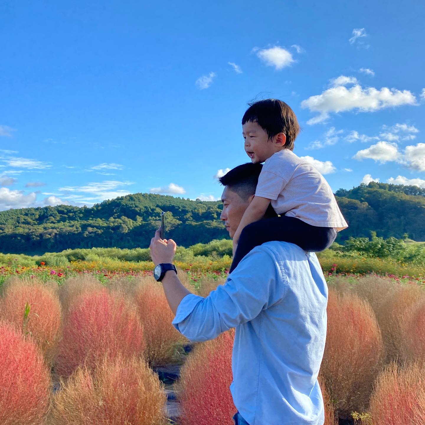 댑싸리너무 이쁘댜🌳

#댑싸리축제 #연천여행 #가을축제