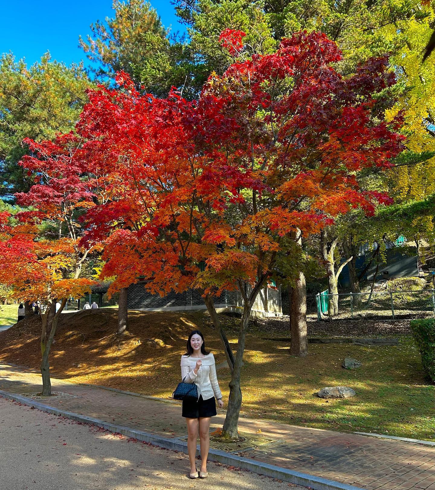 ⠀
가을놀이하러가길참잘했다🫶🏻🫧