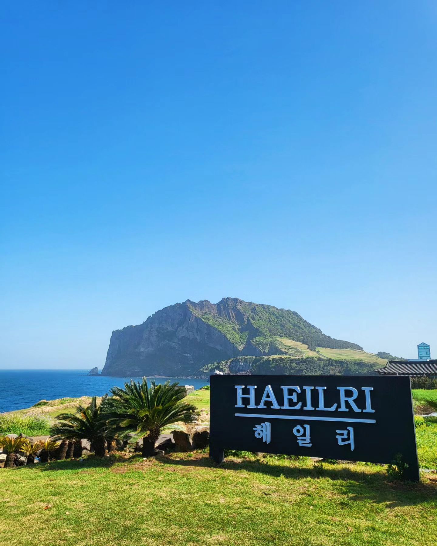 #해일리카페 haeilri_coffee
제주 해일리카페🌴☕️

제주여행에서 1일1카페는 기본이쥬?!
성산쪽에 포토스팟 가득한 해일리카페를 소개해드려용🤗

내부도 너무 이쁘고 외부에도 수영장, 대형 스윙그네와 천국의계단까지 인생사진을 찍을수 있는곳이랍니당📷

음료와 베이커리 종류도 다양하고 맛도 하나같이 다 맛있어서
성산쪽에 여행 코스로 필수로 방문하시는걸 추천드려용💕

성산핫플 뷰맛집 해일리카페에서 힐링하고 오셔요😍

#광고#해일리카페#성산읍카페#성산읍커피#성산읍베이커리#성산읍분위기좋은카페#제주카페 #제주카페추천 #제주카페투어 #제주여행 #성산카페추천#제주핫플