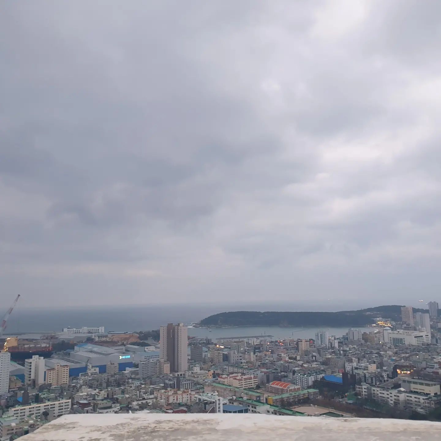 #2024 #해돋이

올해는 해돋이보고 새해를 시작해보려 7시에 일어나서 패딩두개입고 나갔는데 구름층 때문에 해 1도 못봄ㅎ

애들은 신랑이랑 자게 냅두길 잘했군ㅎㅎ
해돋이볼겸 친정서 2박했는데
더 자고 오늘 집에가자ㅎ 
다들 새해복많이 받으세요 ❥❥❥❥❥ 

#울산해돋이 #해돋이실패 #마음속의해는쨍쨍
#만사형통