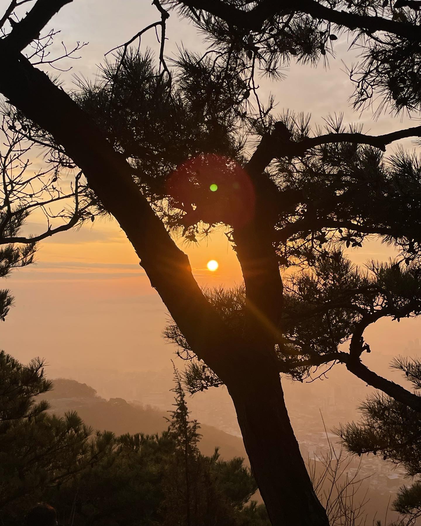 올해도 일출 등산 성공 🔥 
함께여서 더 즐거웠고 매우 알찬 연휴였다네
스초생 3일 연속 먹었고 새해 소원으로 풋살 잘하기 빌었음 ^^v