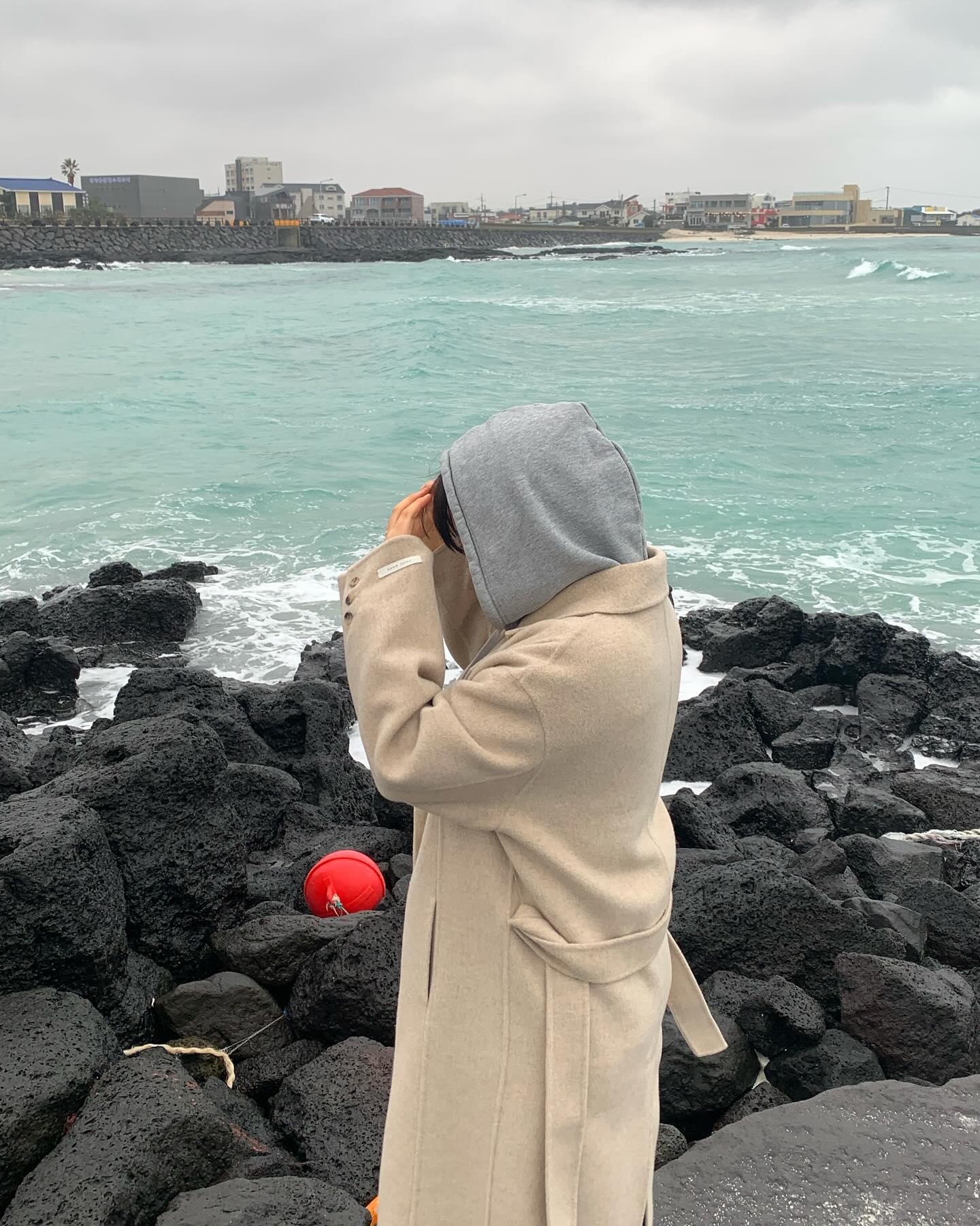 🍊🍊🍊귤 섬
_
_
_
_
_
_
_
_
#제주도 #김녕 #김녕해수욕장 #유채꽃 #좋아요 #좋아요반사 #청주 #귤