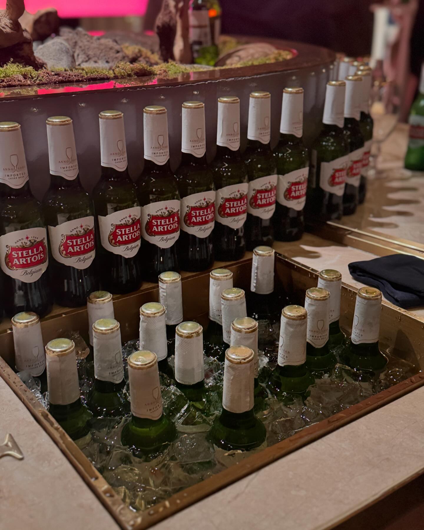 stellaartoiskr  #스텔라다이닝클럽 4기 웰컴디너!! #흑백요리사 #에빗 왔지라요 #스텔라아르투와 와 함께할 #미식모임 너무기대됩니댱 😍😍😍😍😍 꺄륵 신난다