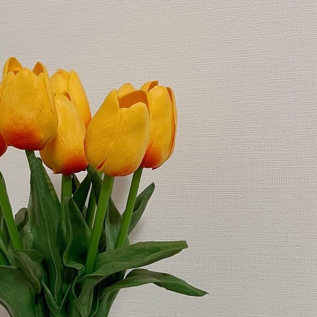 윤블리 신혼일기ㅣ연상연하 신혼쀼 on Instagram: "#광고 패키지에서부터 시원함과 청량함이 느껴지는 루치펠로 무아무아 치약은 영구치가 나기 시작할 때부터 사용이 가능한 치약입니다💚