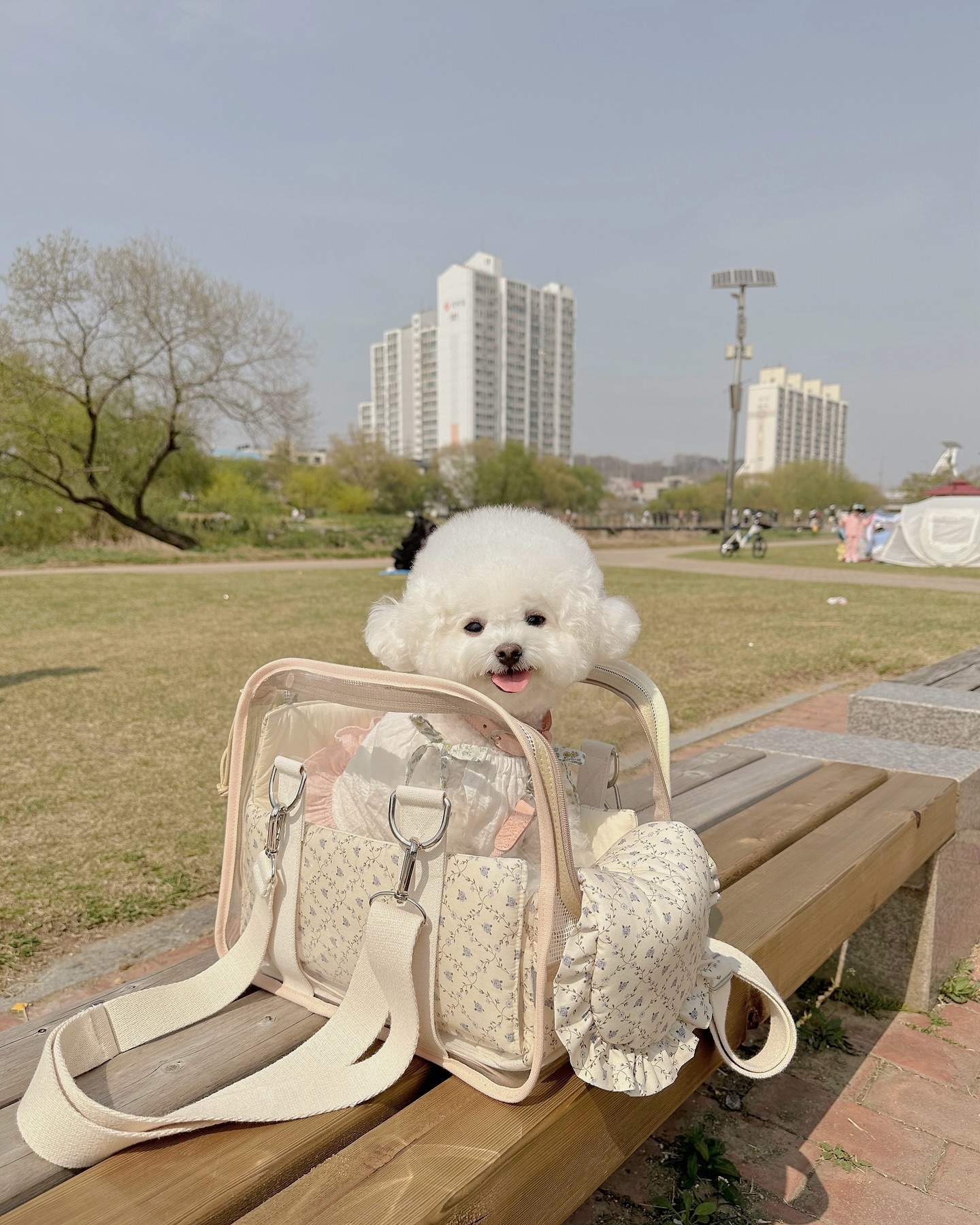 오산천은 처음가봣는데
사람이 징짜 많앗당🫢