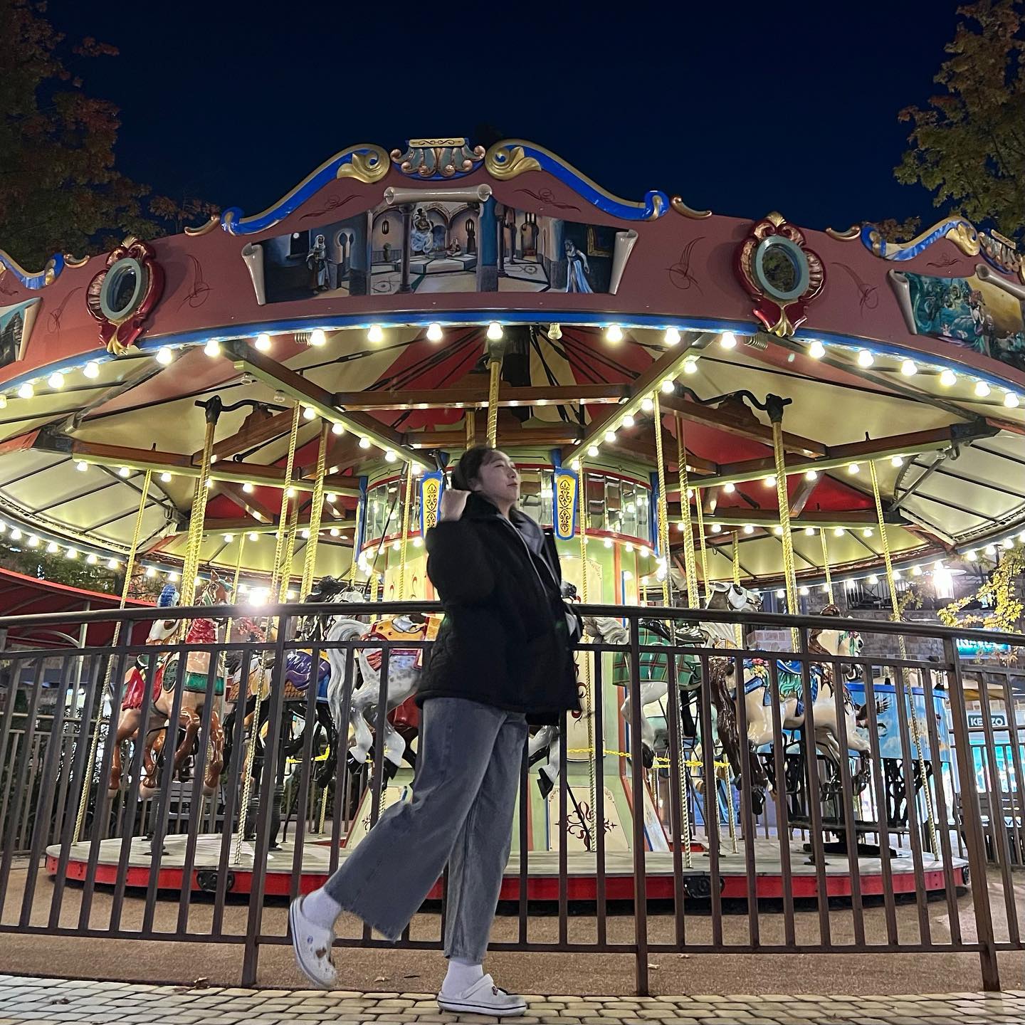 🎠
