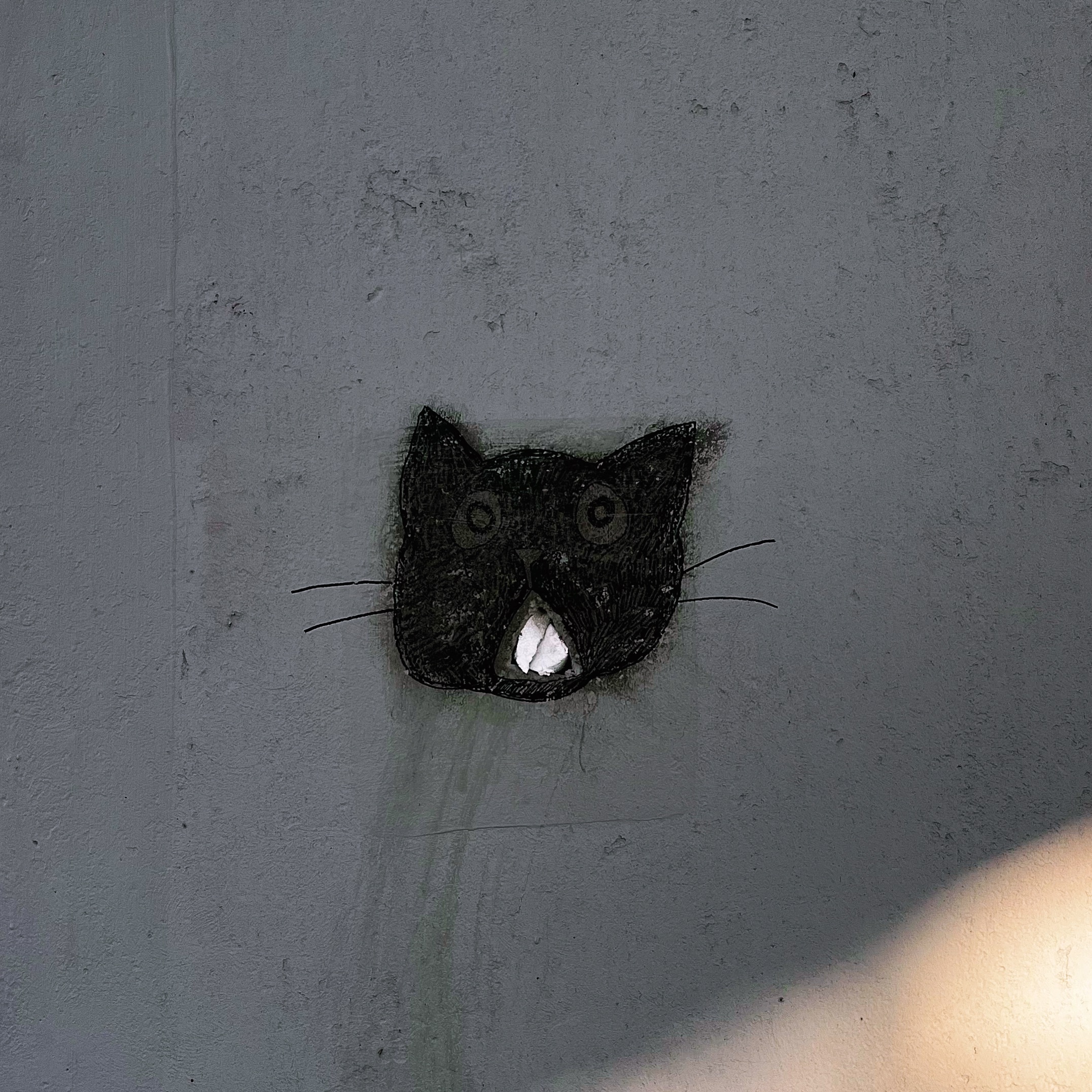 콘텐츠