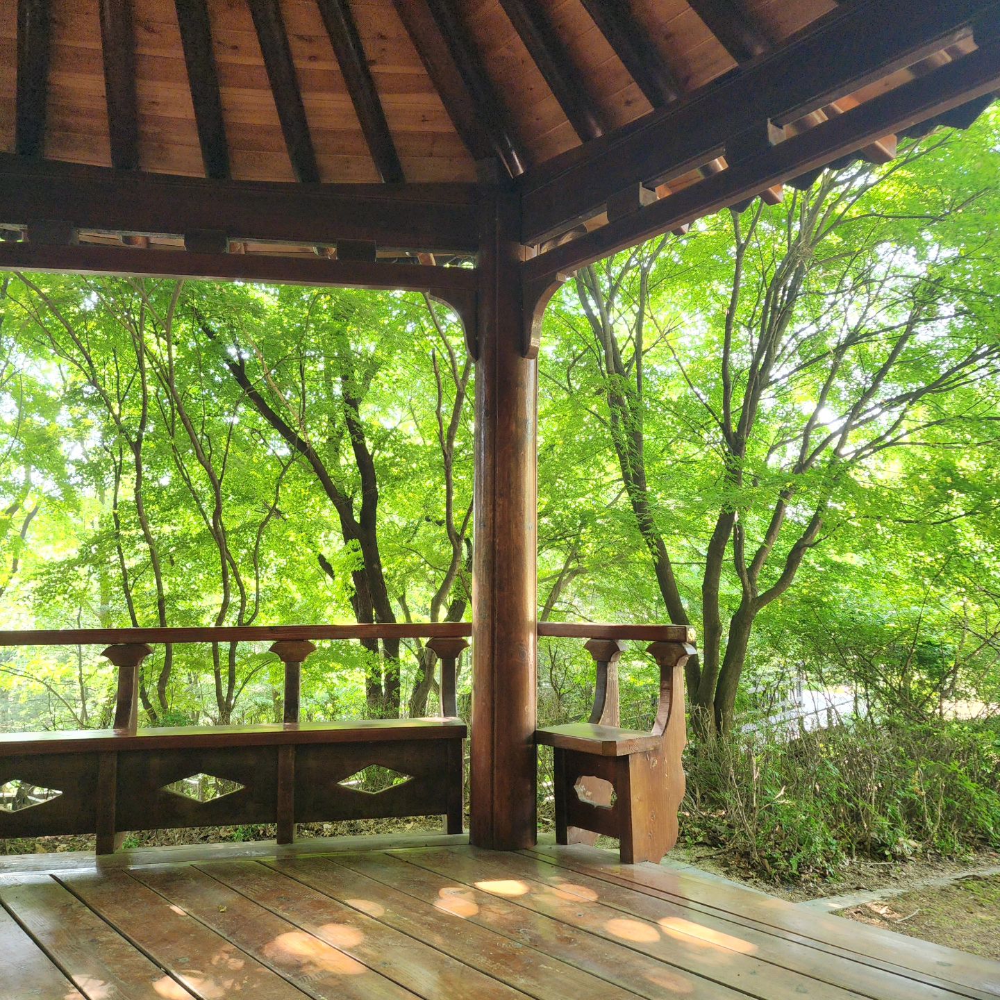 오동공원
월곡역 동덕여대 뒷편
자락길 걷고
오동숲도서관
도서관 안에 
카페도 있어요
오동숲꽁카페
바람이  선선해서
머물기 좋은 산책로
오늘 날씨 🍯

#오동공원
#자락길
#오동숲도서관
#동덕여대
#동덕여대월곡산
#월곡산
#오동숲꽁카페