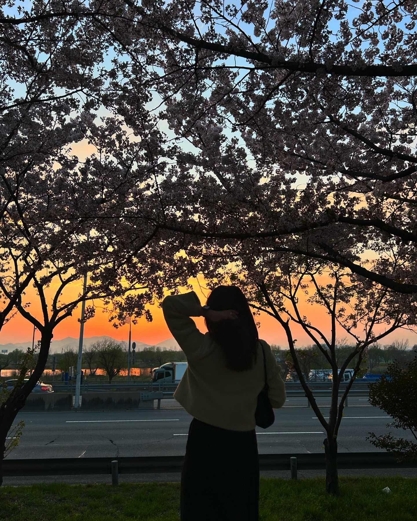 벚꽃 다 떨어지고 나서 올리는 사람