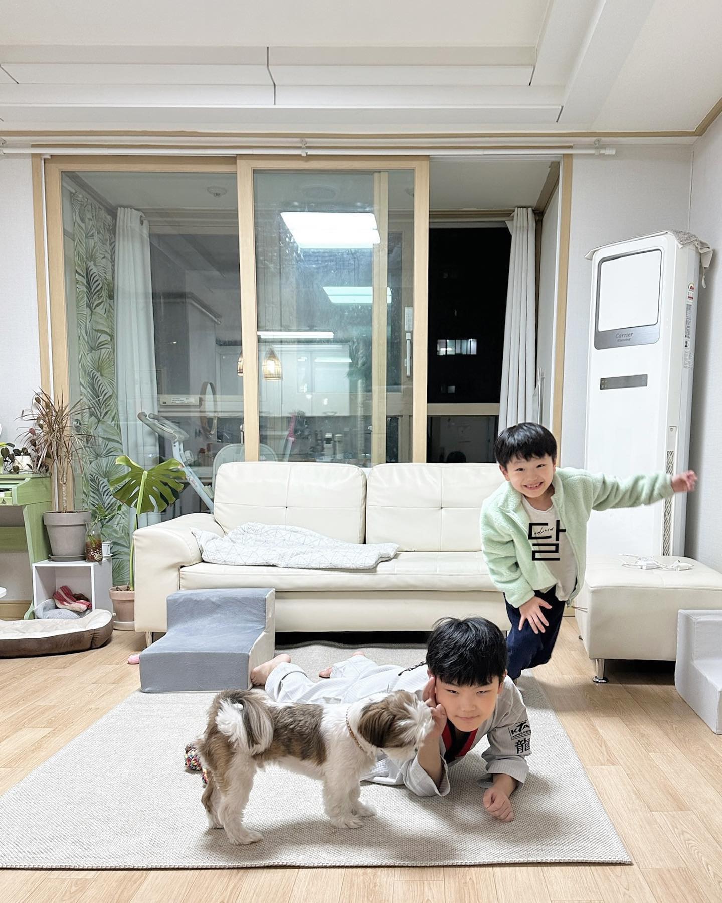 셋 (👦🏻👦🏻🐶)다 쇼파에 점잖게 앉아있길래 
귀여워서 사진 한 장 찍자니까
앞으로 다 튀어 나와서...
엄마가 원하는 사진은 못건짐🤣
