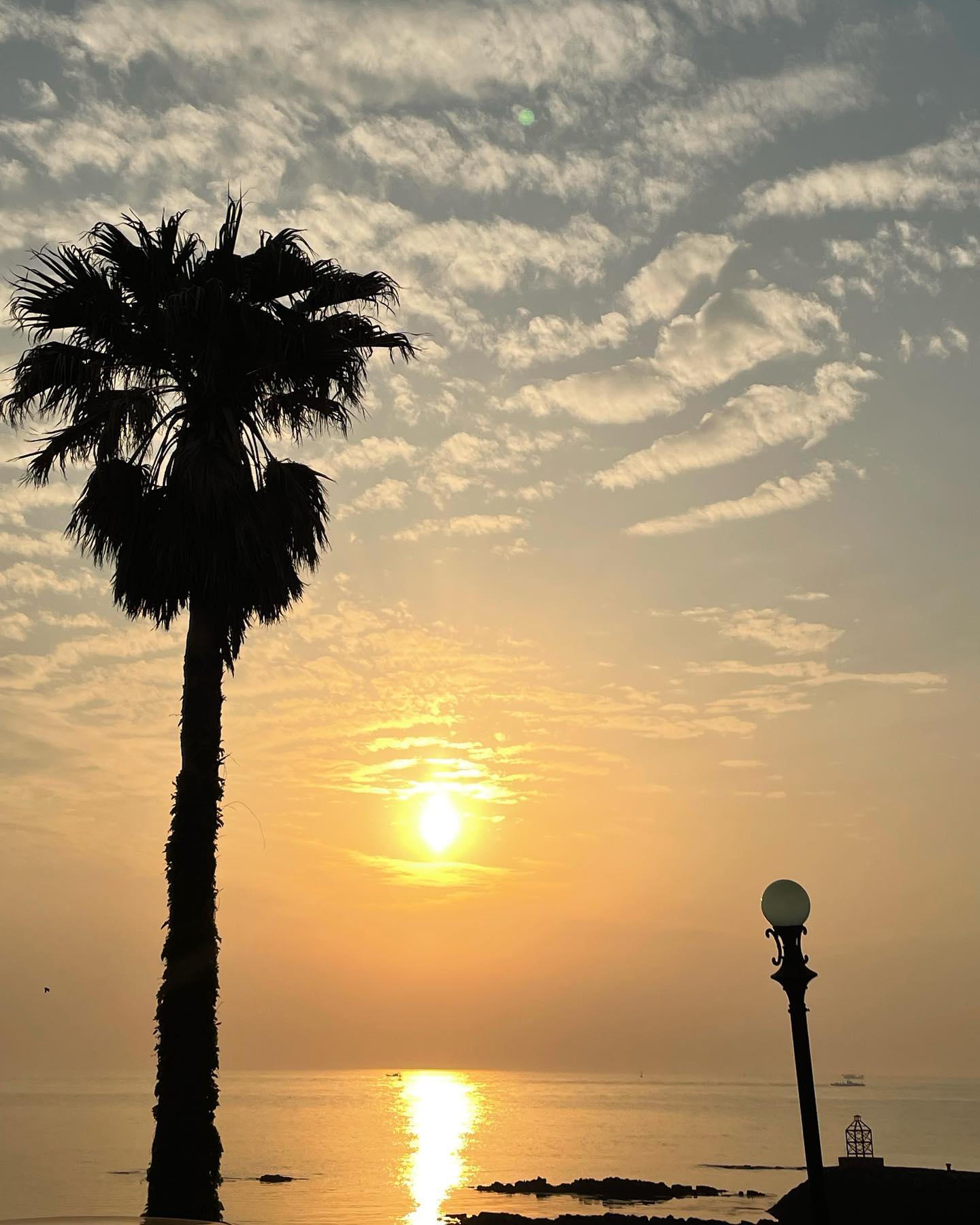 미쳣지,,🌅