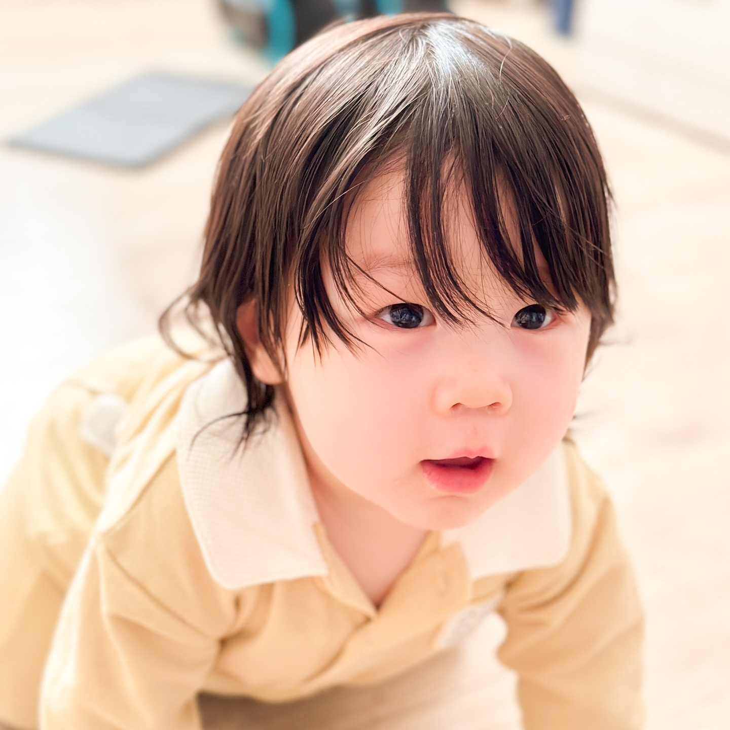 .
Day+297
벌써 돌이 된 칭구 루다 생일파티 다녀옴
우리아들도 별로 안남았네..
시간 무슨일이야
요즘 시끄러운 소리만 들리면 우는 아들
집에서 너무 조용히 지내나🥹
가서 찍은사진은 없고 다 어머님집에서 찍은사진
월리가 외로워 할까봐 어머님집에 월리 두고 다녀옴
우리 월리 딴생각 못하게 아들램이 월리 따라다니면서 귀찮게 하기
월리 도망다니기 바쁘고 꾸미는 웃으면서 따라다님ㅋㅋㅋ
월리 육아의 맛 같이 느껴보자
#아들스타그램 #육아기록