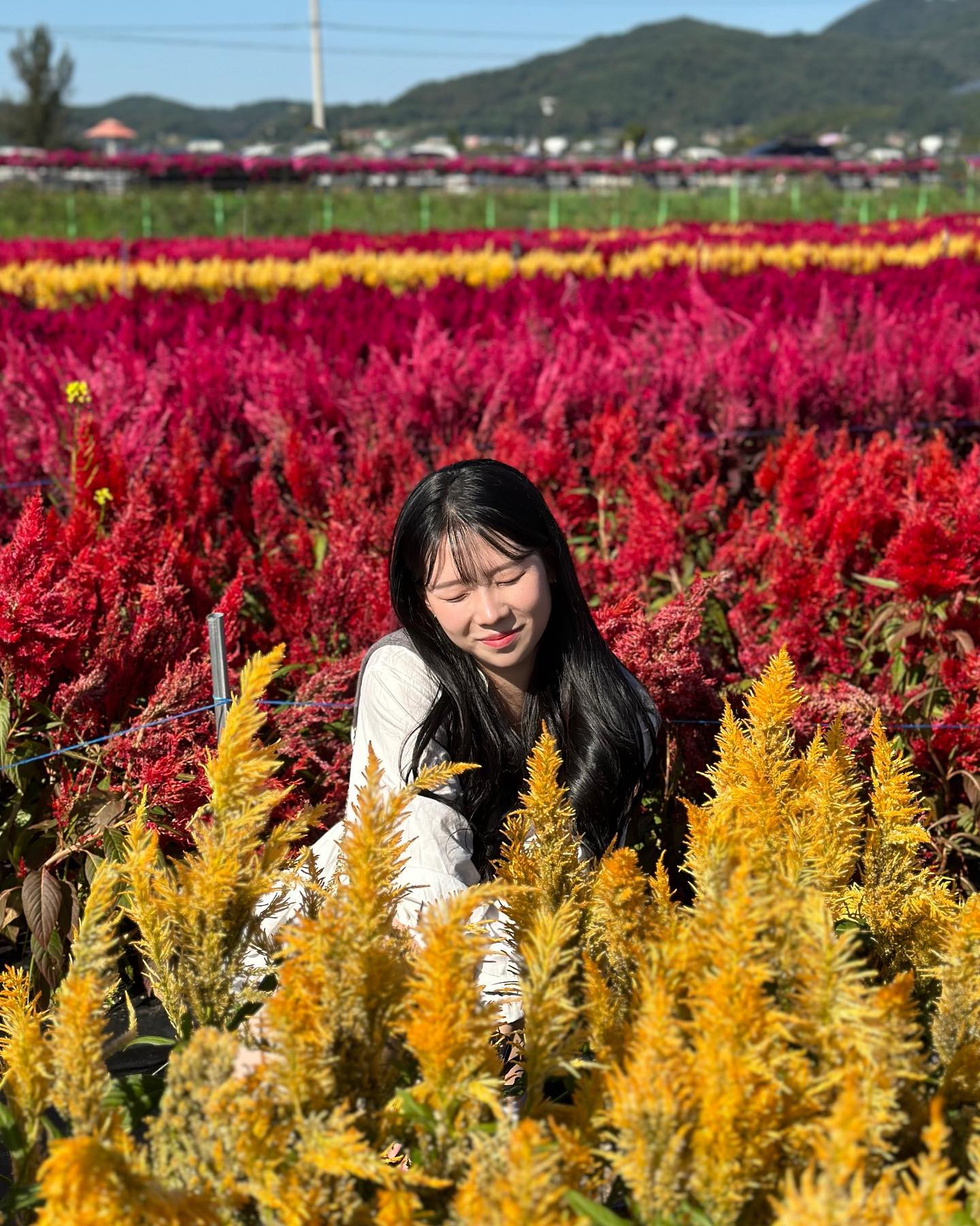 가을이 와쓰요 🍂