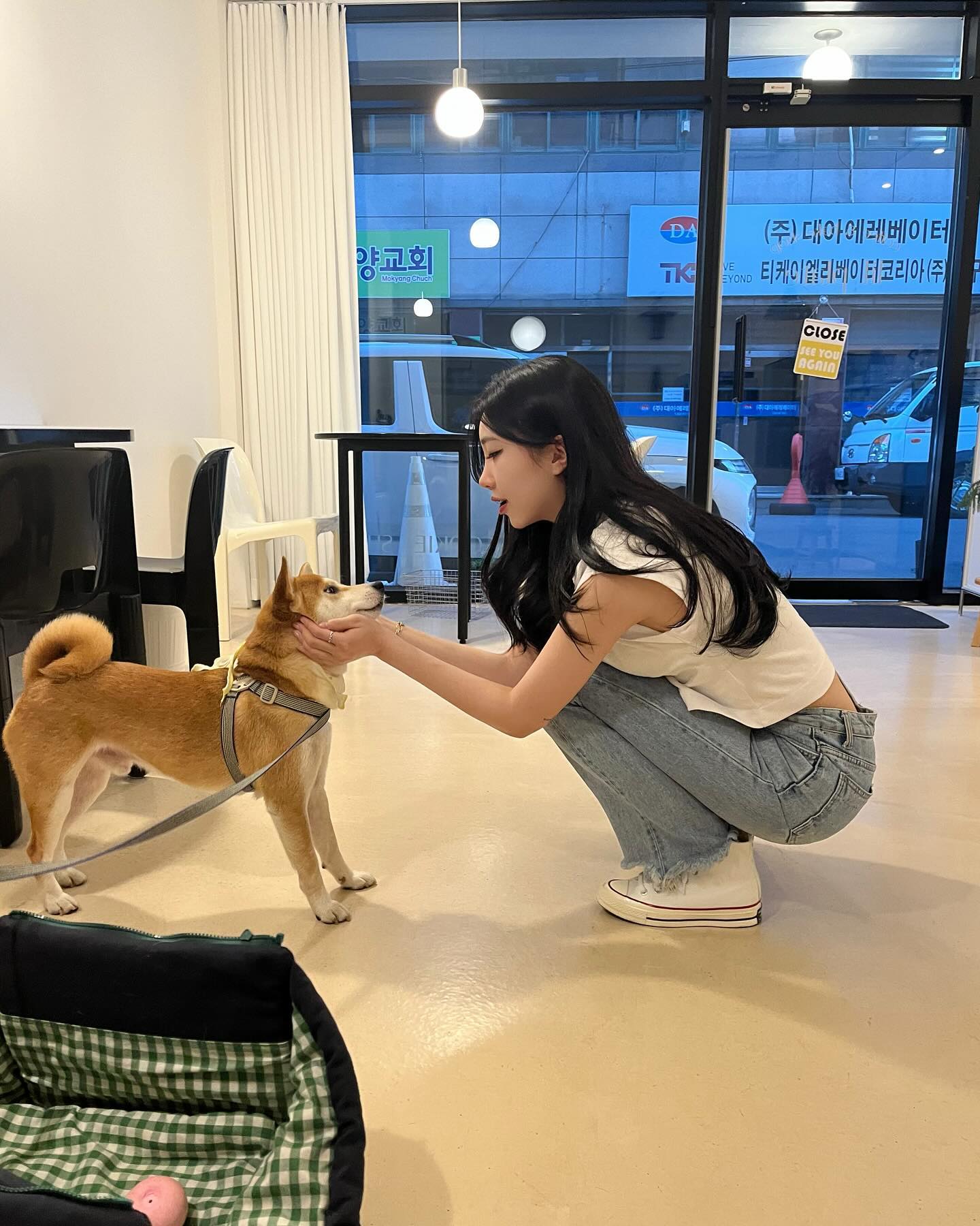 귀여운 맹 ♥ 담엔 앞산 가쟈 ?