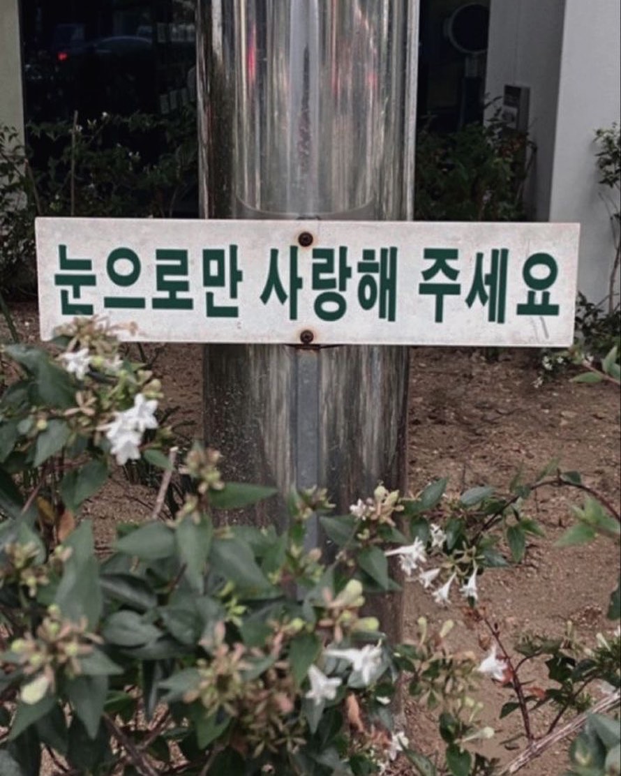콘텐츠