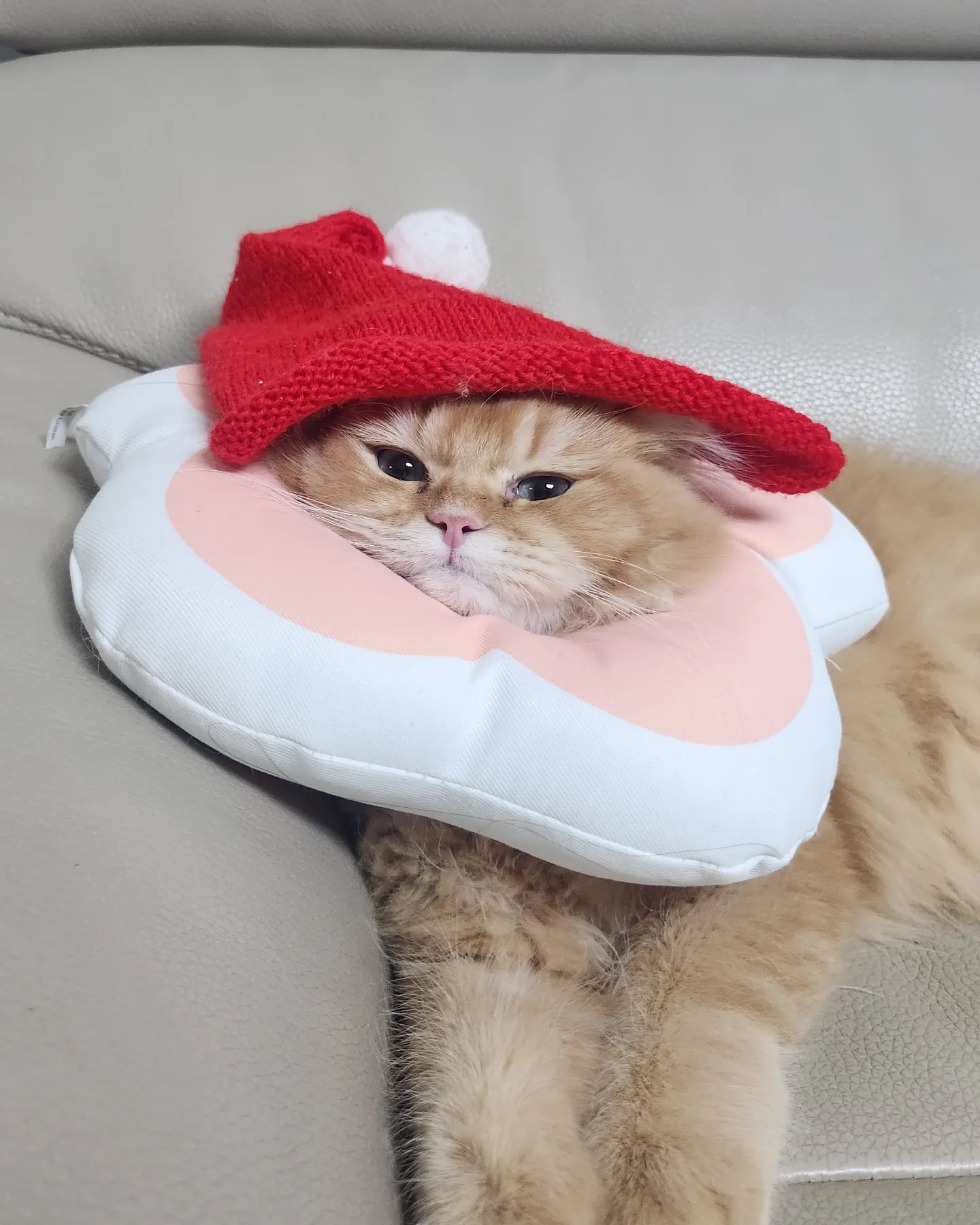 #메리크리스마스🎄 #happychristmas #圣诞节快乐🎅
winkcatch