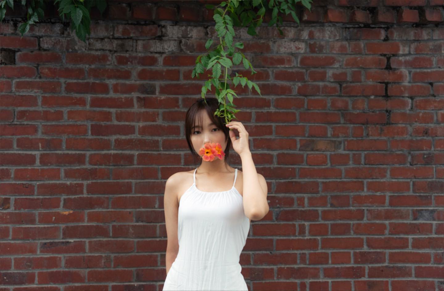 드디어 올리는 능소화 촬영본