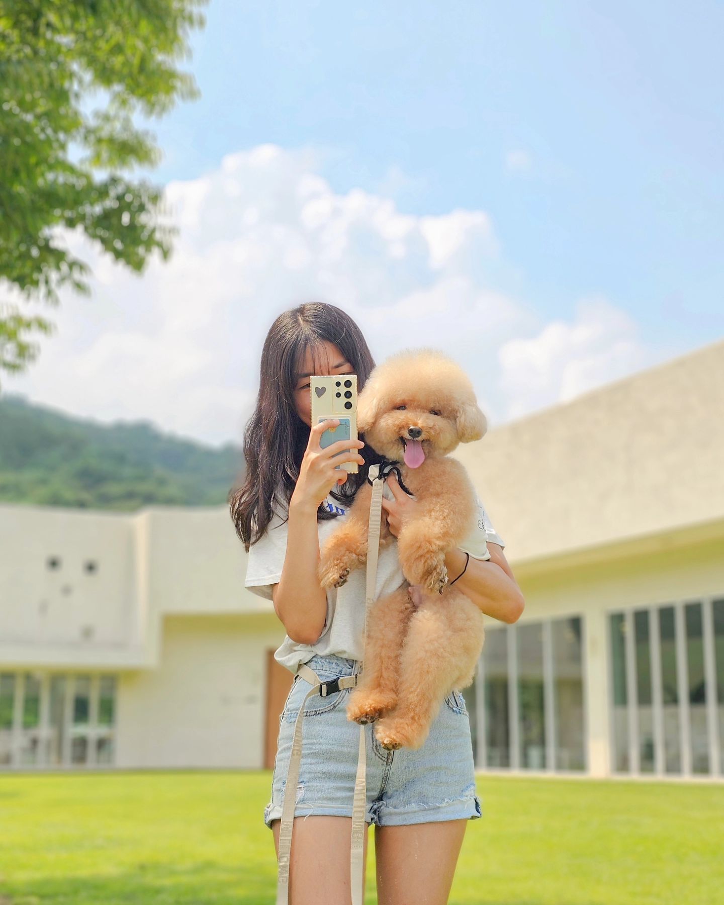 #멜팅 🌿
정말정말 오랜만에 멜팅행 🐾
장마에 무더위에 오프리쉬로 맘껏 놀아본지가 언젠지..🥹
역시 멜팅이 최고야💕

너무 더웠는데 그래도 공놀이는 해야겠다는 마이씌🎶
밖에서 1분 놀고 에어컨 쐬고 무한반복ㅋ
멜팅 물 마이가 다 먹고 왔을지도 모름🙄

친구랑도 좀 놀아라 자스가〰️
#스스로왕따

#애견카페 #애견동반카페 #예쁜카페 #동두천애견동반 #양주애견동반
