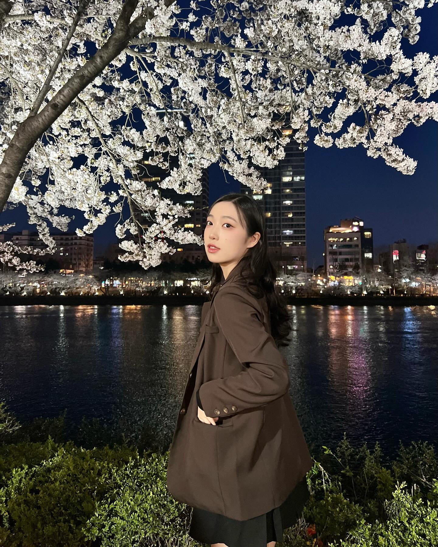 밤벚꽃 ✿