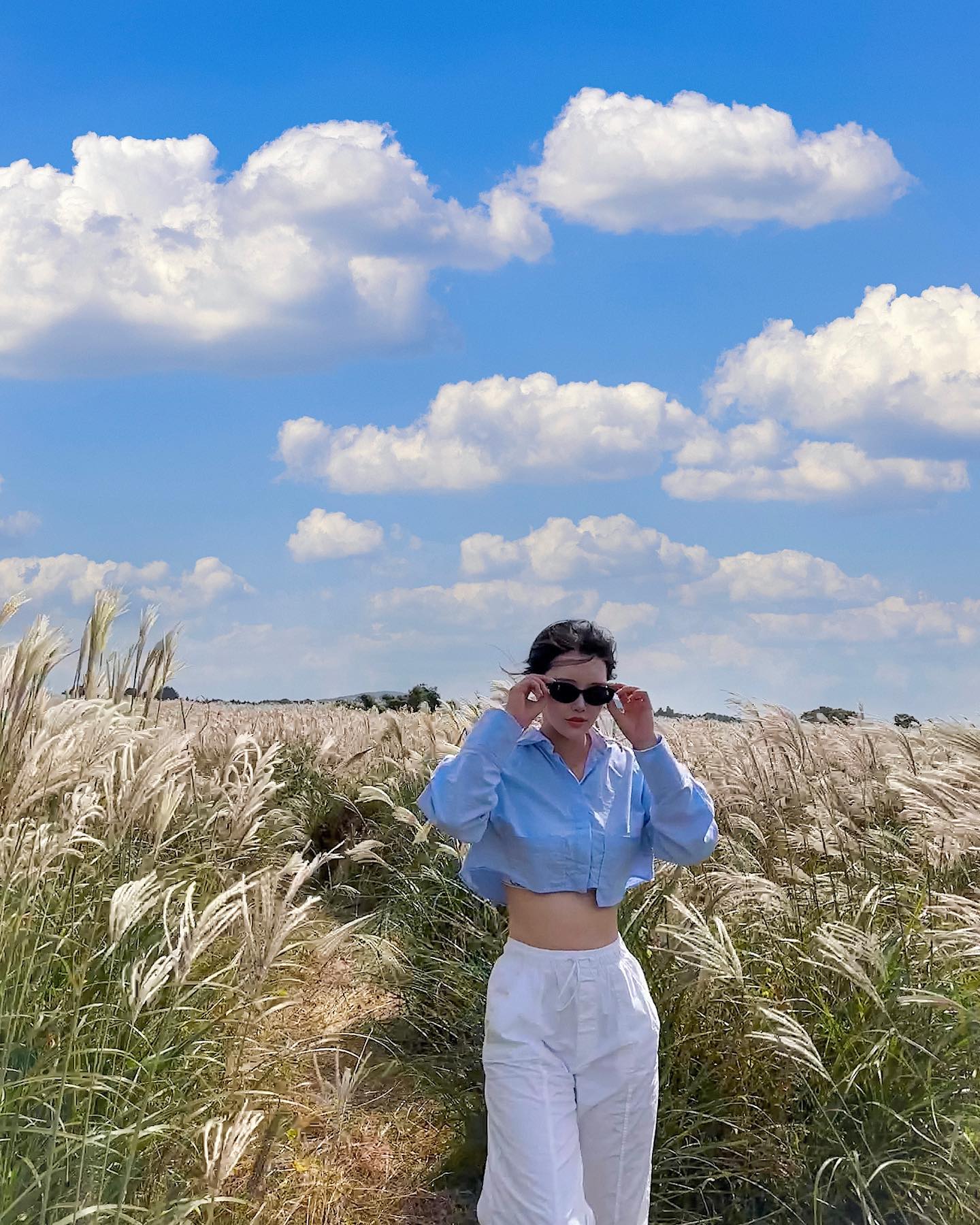 🌾🌾🌾🌾🌾🌾🌾🌾🌾🌾🌾