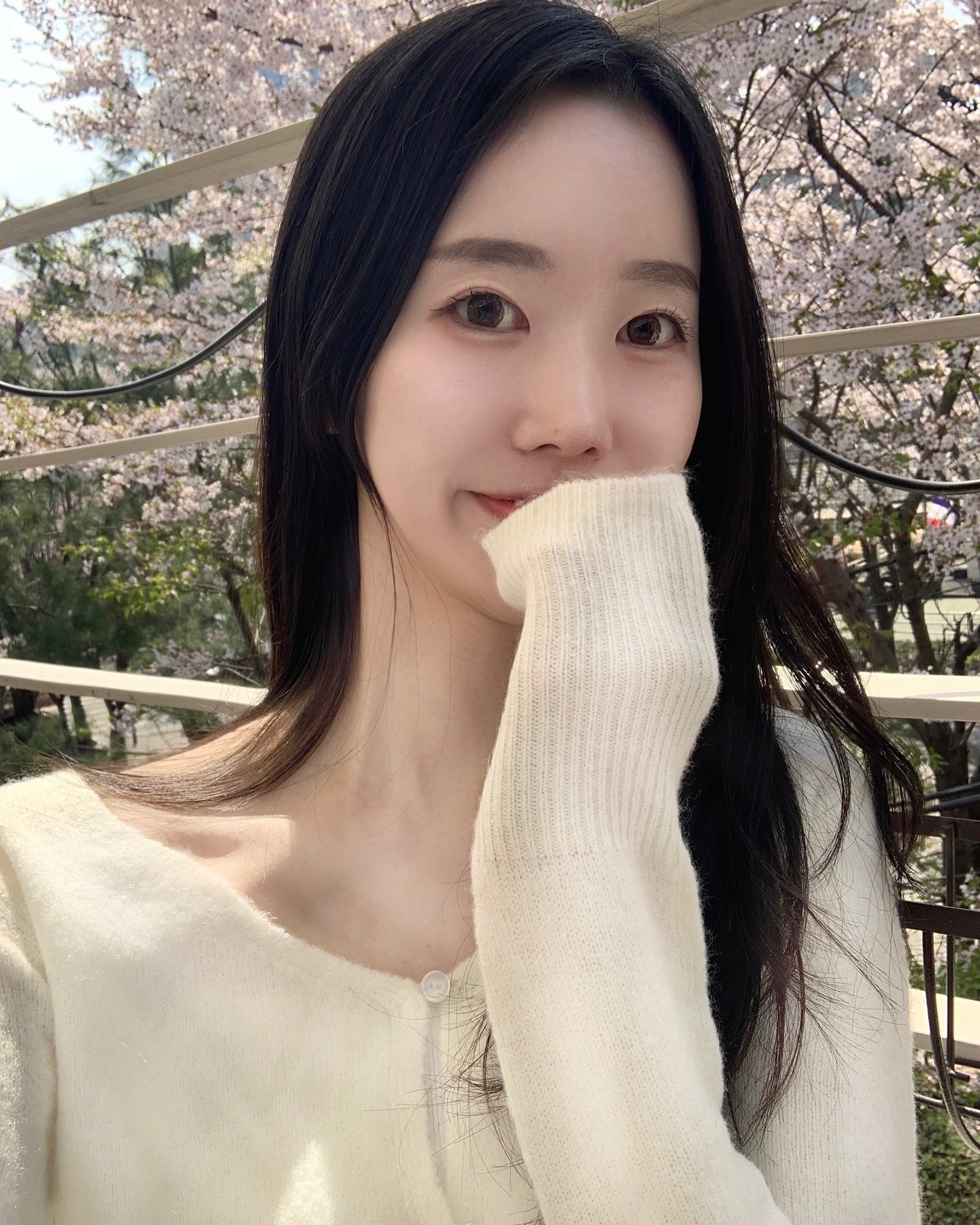 벚꽃구경실컷🌸🤍