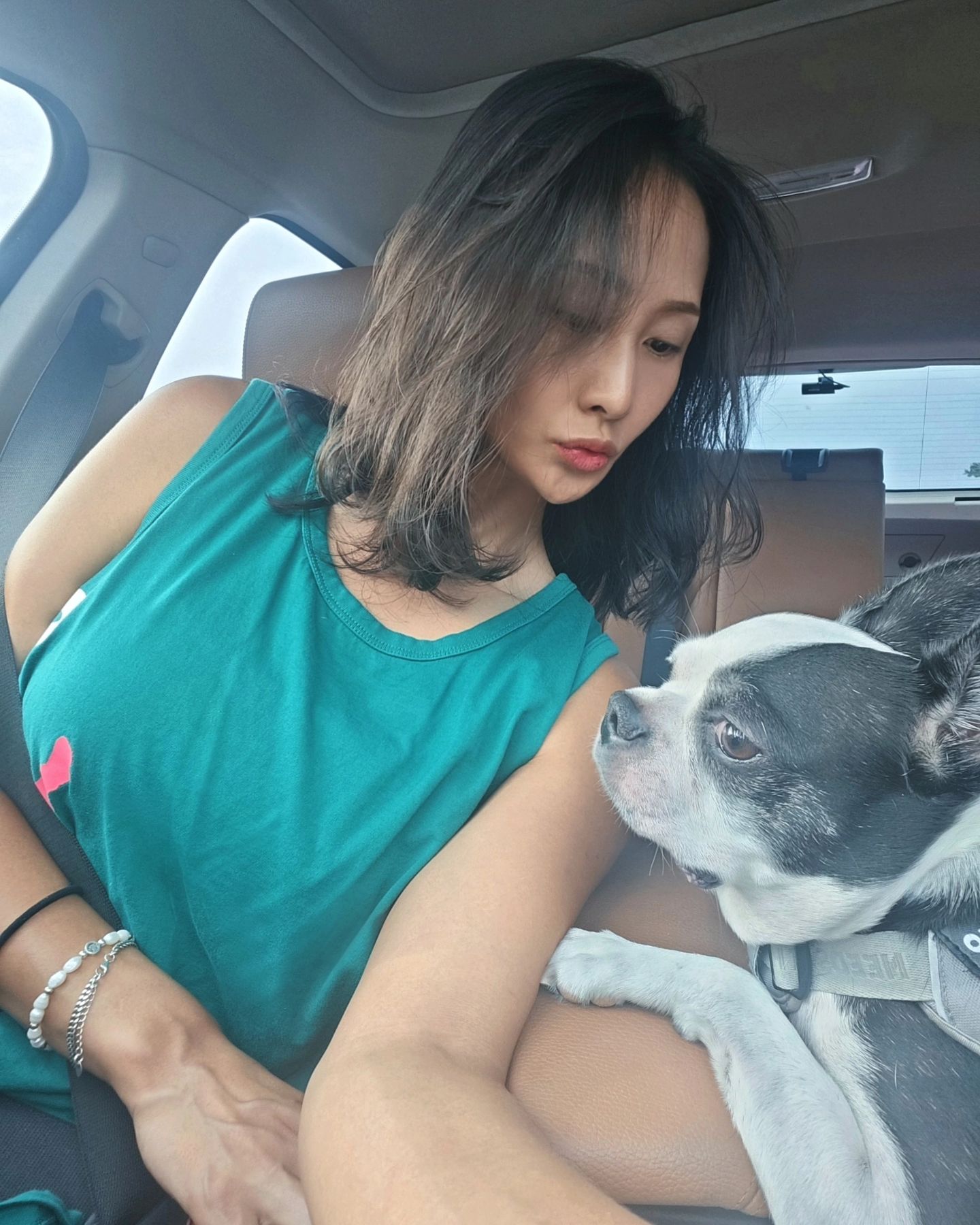 -
히포 뛰어 놀러, 본가 가자 🚗 🚙
-
-
-
#bostonterrier #doglover #dog