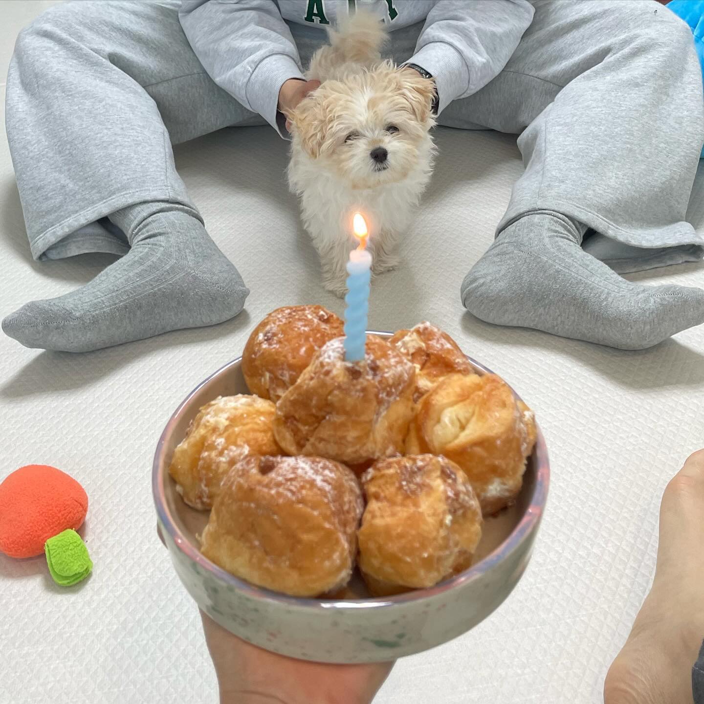 하품이랑 함께하는 기념일🧁💗🐾
우리 가족 모두 행복하구 건강하기루 해🫧