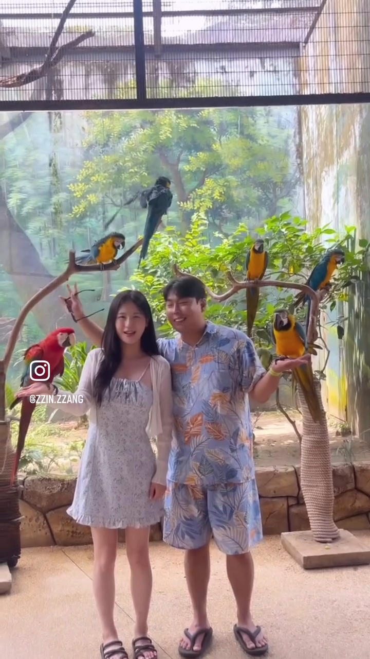 콘텐츠