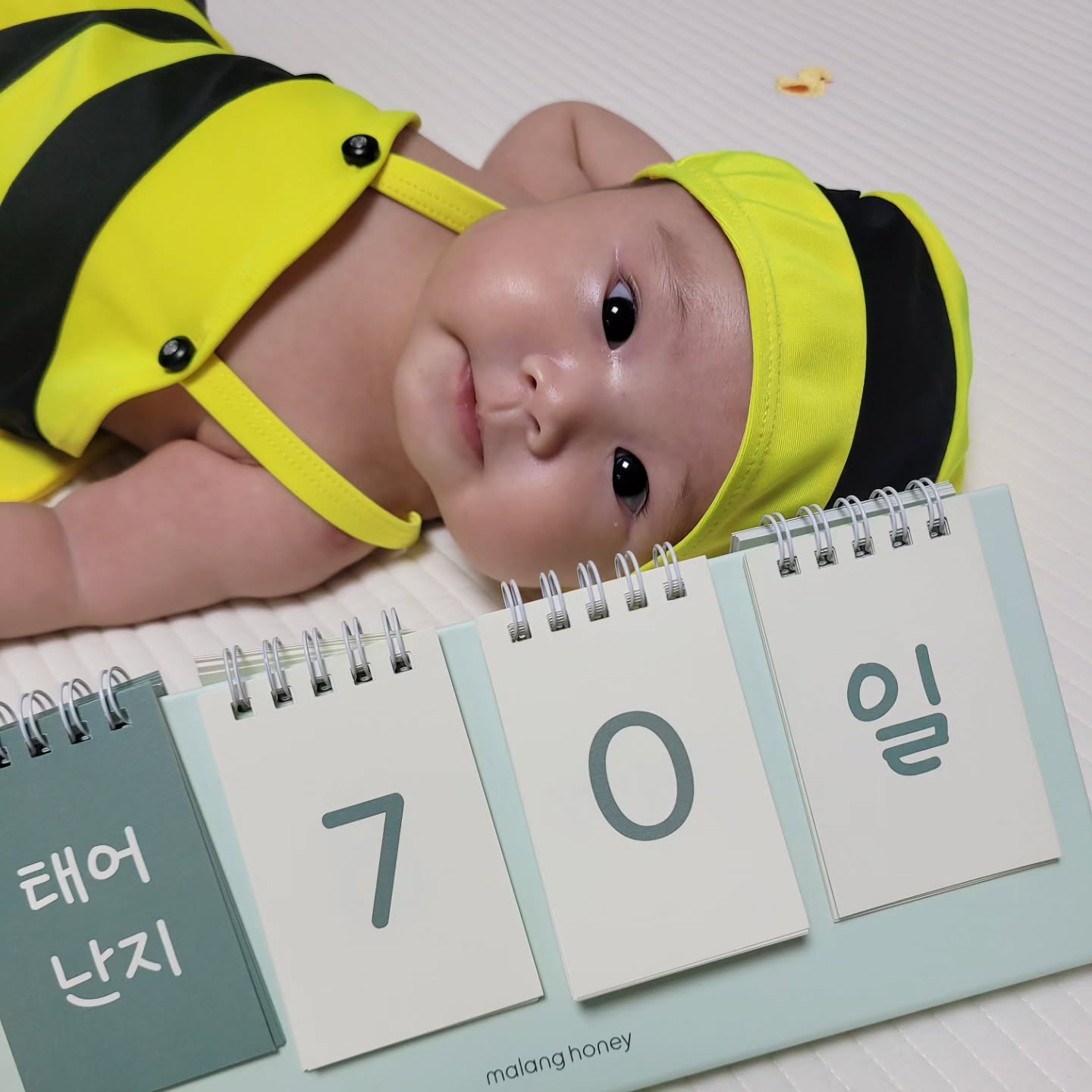 D+70
각도의 중요성...?
뚱실함이 보이지 않네

꿀벌은 내년 여름에 입자
#24년생 #용띠맘 #청룡띠맘 #육아일상