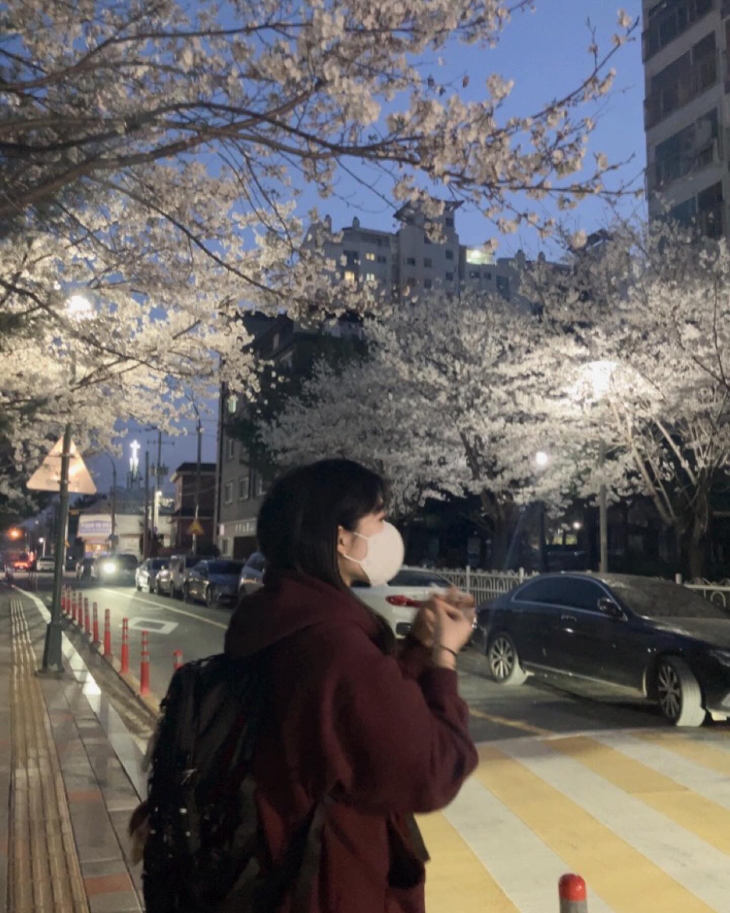 생각보다 벚꽃이 더 이쁘구나