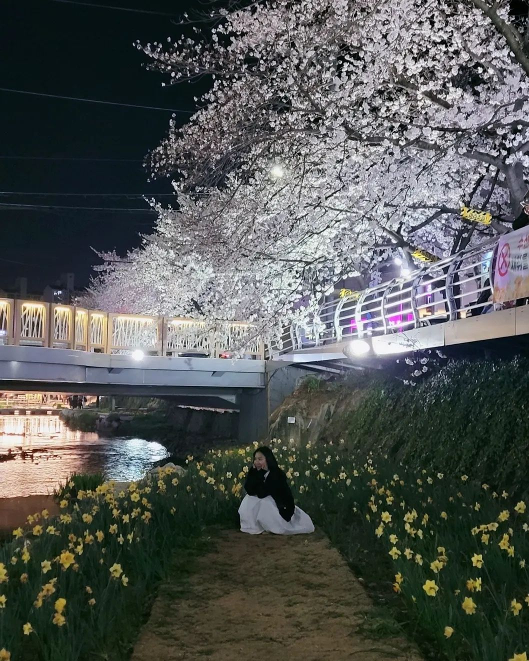 #밤벚꽃

수선화까지 있어서 더 예쁜 무거천 궁거랑벚꽃길
회오리감자 못 잃어.
닭꼬치, 국화빵, 옛날와플 포기모태.
잠깐 사이에 2만원어치 넘게 먹고 왔다는🤣🤣