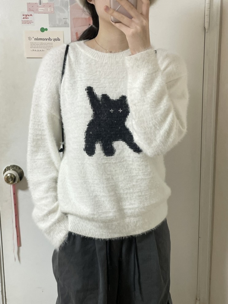 에이이에이이aeae 앙고라 니트 내돈내산 : Flashed Cats Angora Knit WHITE / 리본 레더 짐색 RIBBON LEATHER GYMSACK 착용샷, 리뷰