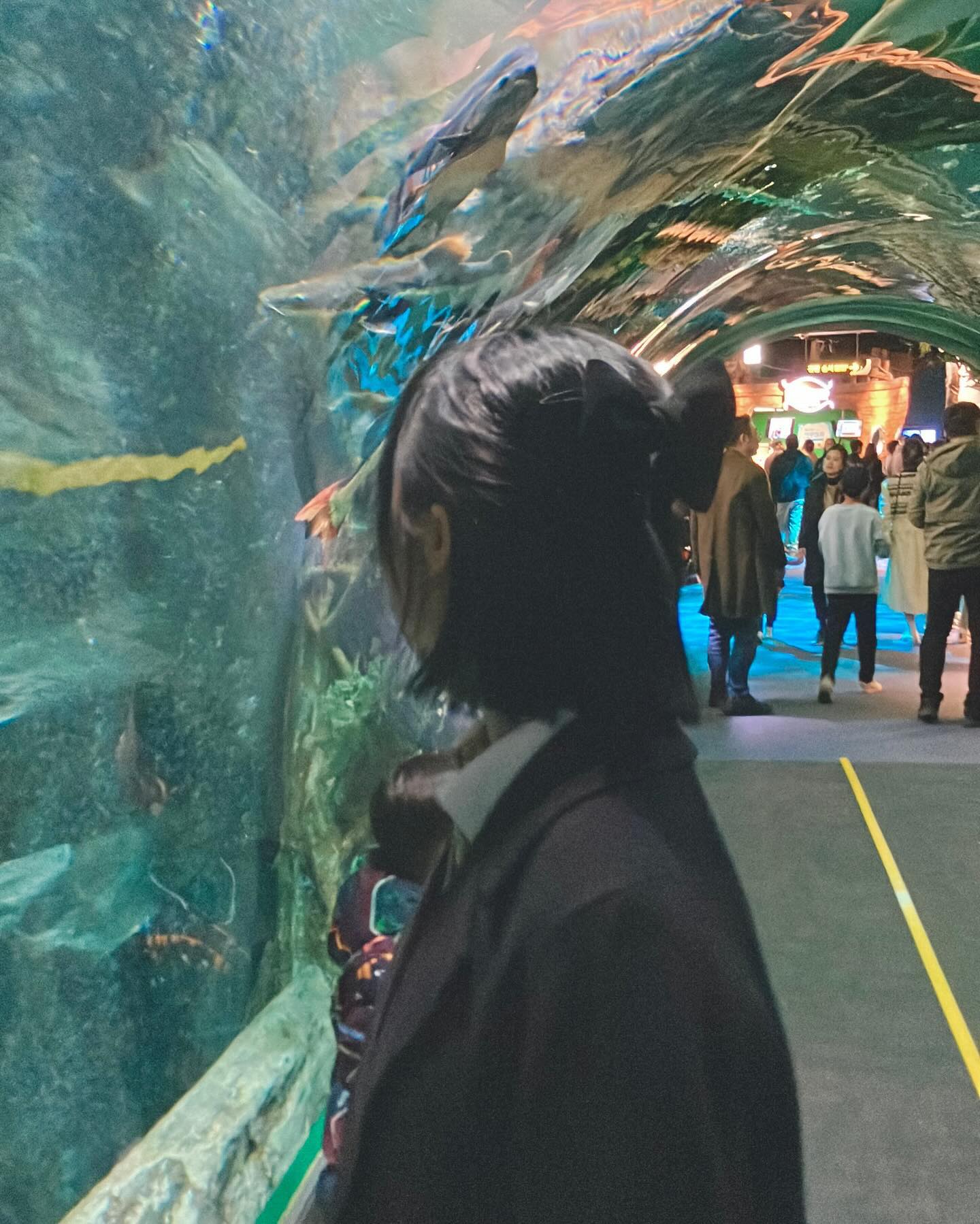 🪼🐟🐬🐳🐋🦈🩵💙