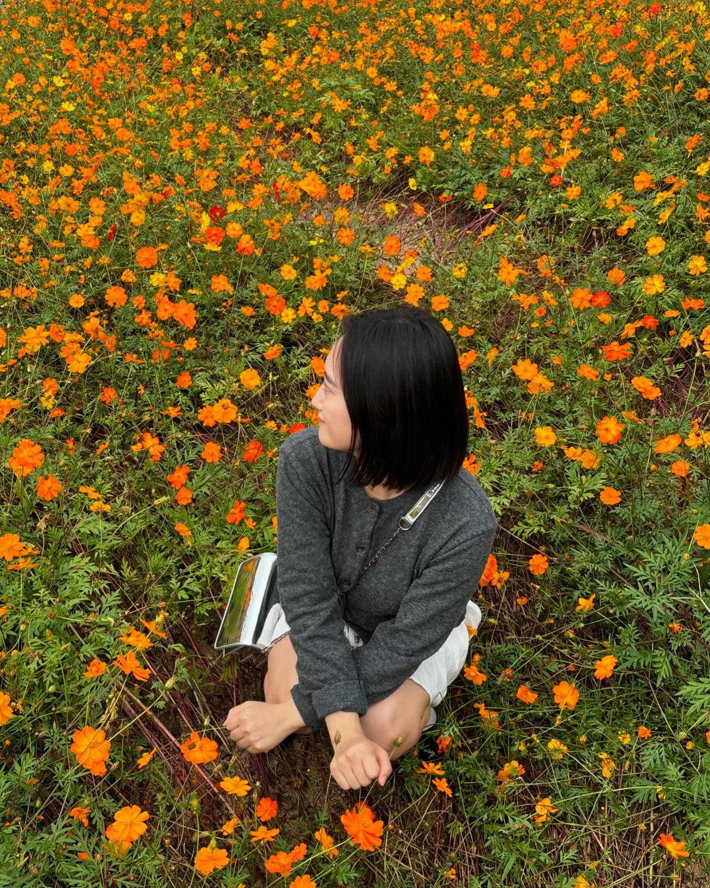 겨울 멈춰✋🏻
내 사진은 아직 가을이란말야🍁
.
.
#장성황룡강가을꽃축제