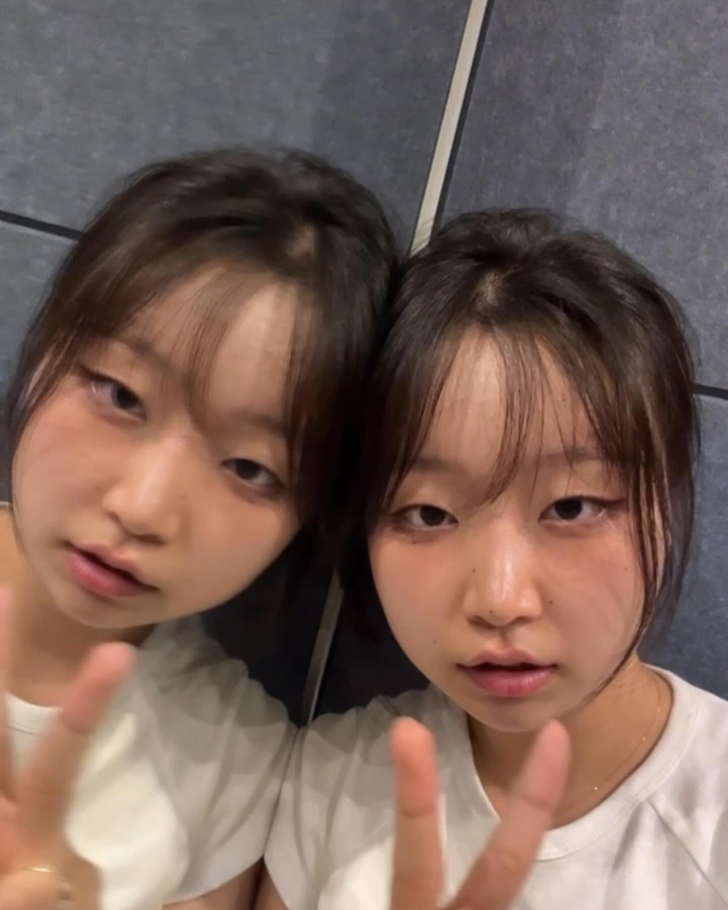 쌍둥씨 나왓습니다