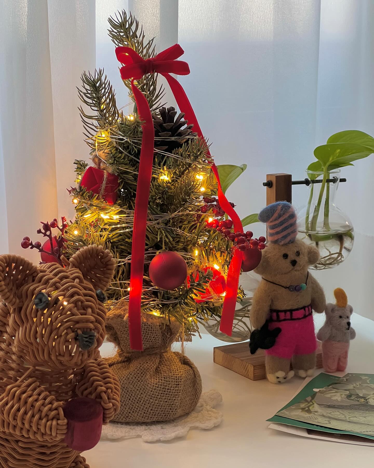 -
성큼 다가온 크리스마스를 기다리는 자세🎄🎀

미니 트리 꼭대기에 깜찍한 별을 달고 싶었는데 
마땅한걸 찾지 못해 집에 있던 빨강색 리본을 
옴팡지게 묶어서 슬쩍 올려보니 화사하고 생기가 돋는것이 
이보다 더 만족스러울수가 없다.

아끼는 화분들에도 나름의 소소한 특기인 리본만들기로
옷을 입혀주고 나니 폭닥폭닥한 겨울 냄새가 물씬❣️❄️

때로는 어쩔 수 없는 차선책이라고 생각하고 선택한 것들이 
예상치못한 만족을 가져다 주기도 한다.

그러니 꼭 뜻대로 되지 않아도 괜찮다.