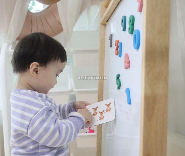 두돌아기 숫자 낱말카드  놀이 방법, 세이펜호환