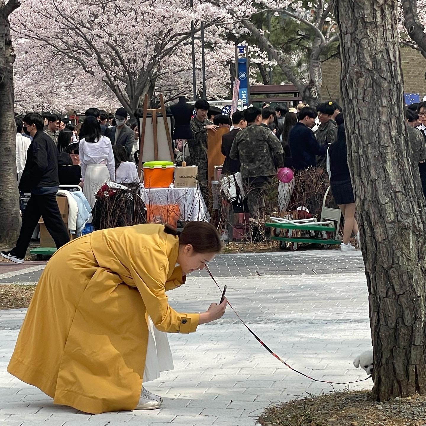 아이랑 꽃놀이~