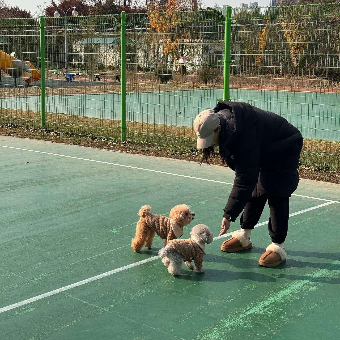요즘 세상 참 좋네요🫶🏻
부평구에서 반려견 행동교정교실을 한다해서
부리나케 신청해서 2회 교육수료했는데
진짜 눈에띄게 좋아지는 금쪽이들🥹
#역시문제는나였구나
#세상에나쁜개는없다