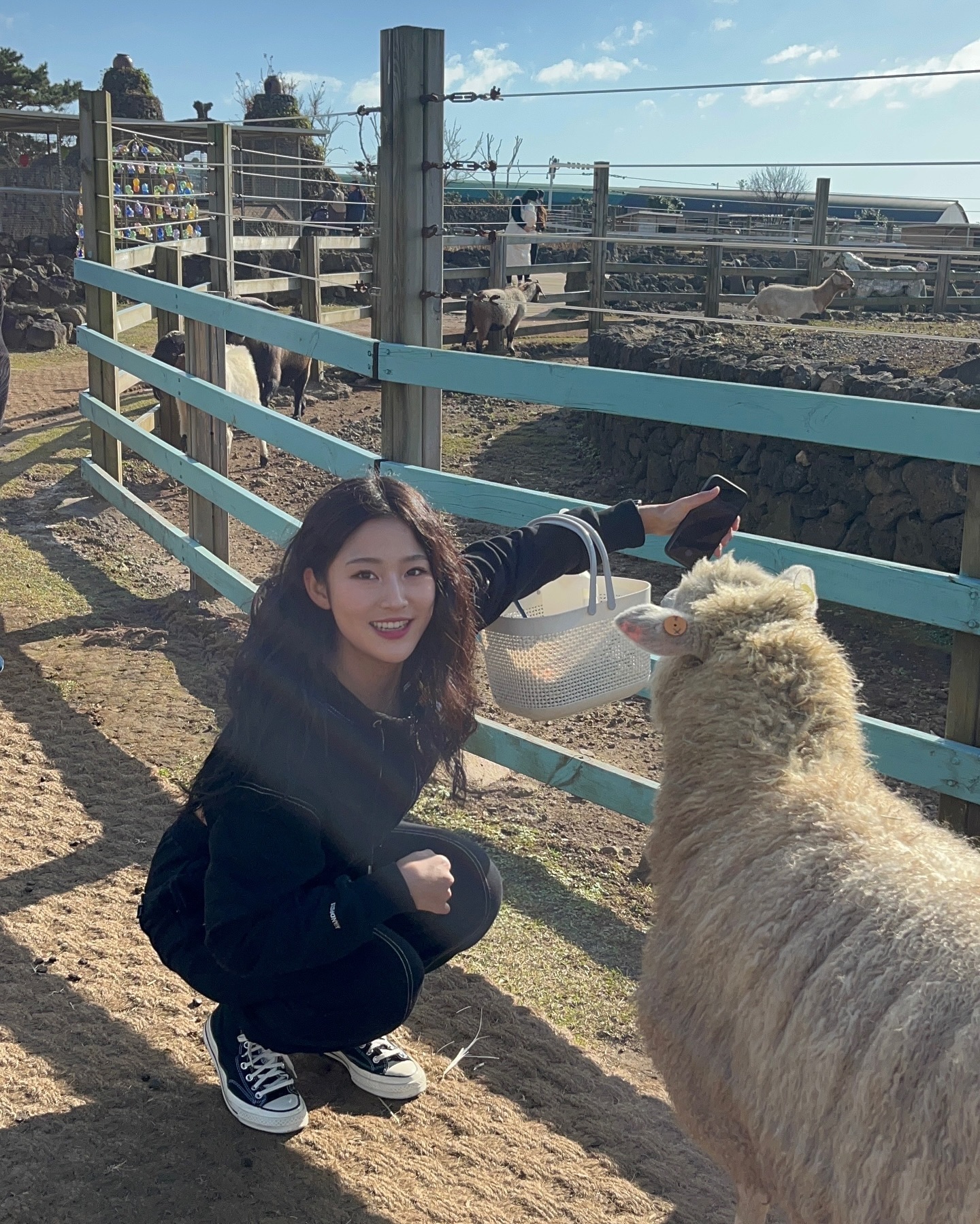 너네 쫌 귀엽다 🦙🐑