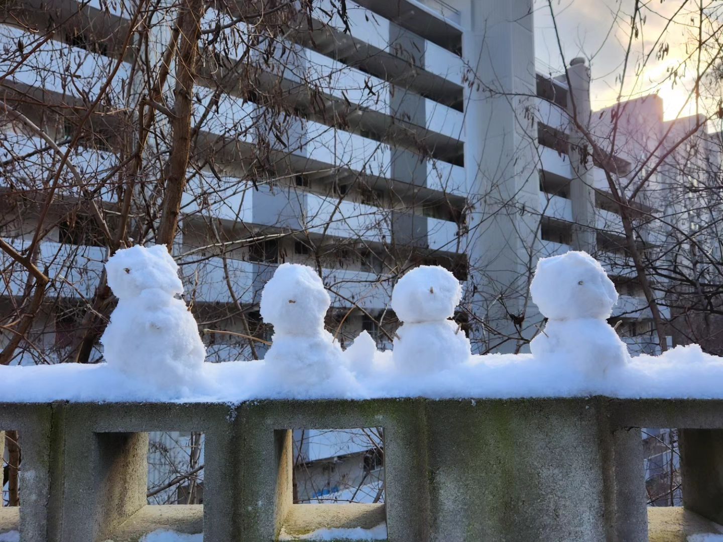 메리크리스마스☃️
눈오리도 만들고 눈사람도 만들고 오랜만에 주호랑 재미지게놀았네

내년에는 좋은곳으로 놀러가쟈❤️🫶

#메리크리스마스 #크리스마스 #눈오는날 #눈 #대설 #일상 #화이트크리스마스 #눈사람
