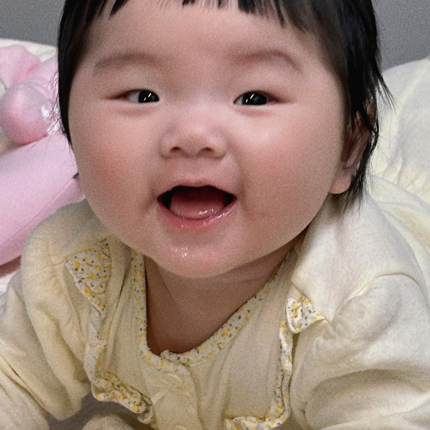 네잎클로버 찾으러 갈 시간이 어딨나 우리 집이 네잎클로버 밭이다.
😍