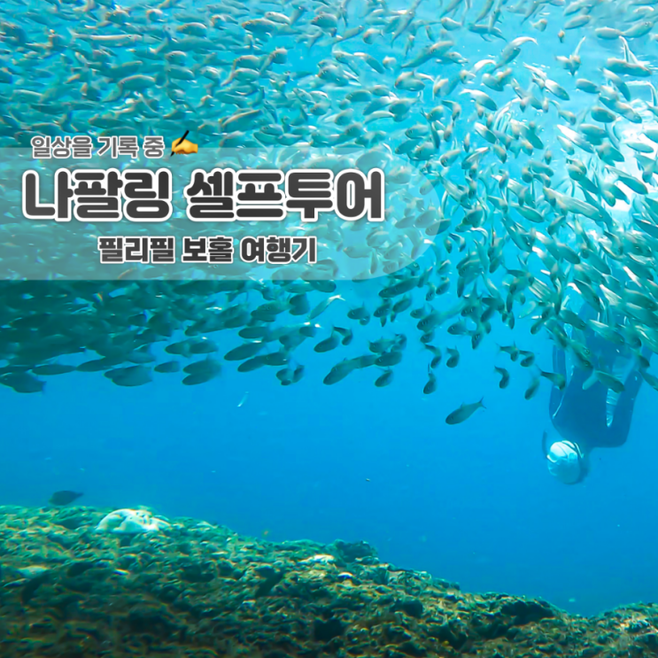 [필리핀 보홀] 나팔링 프리다이빙 셀프투어 하는 법(입장료 , 고프로 대여) + 보홀 툭툭기사 추천