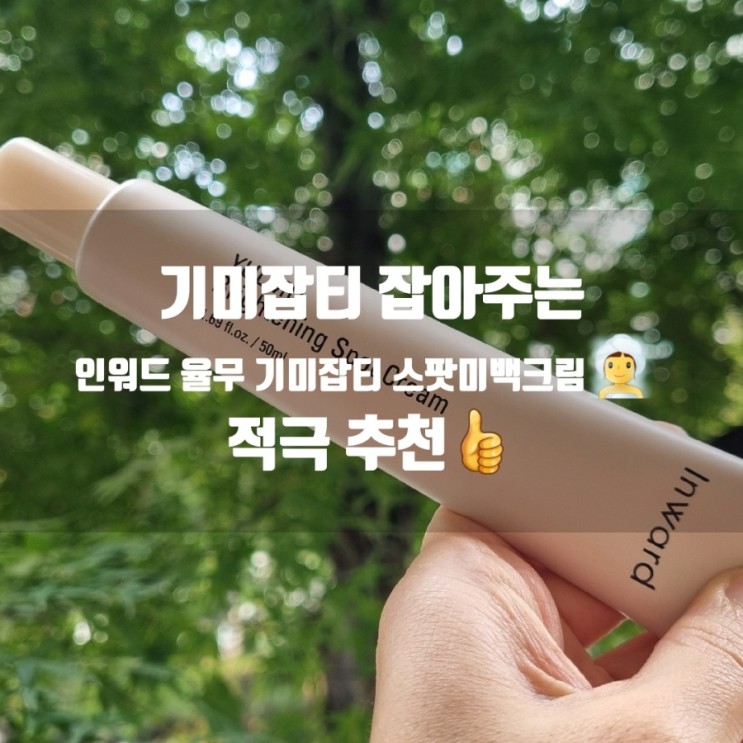 기미잡티 잘 잡아주는 인워드 율무 기미잡티 스팟 미백크림