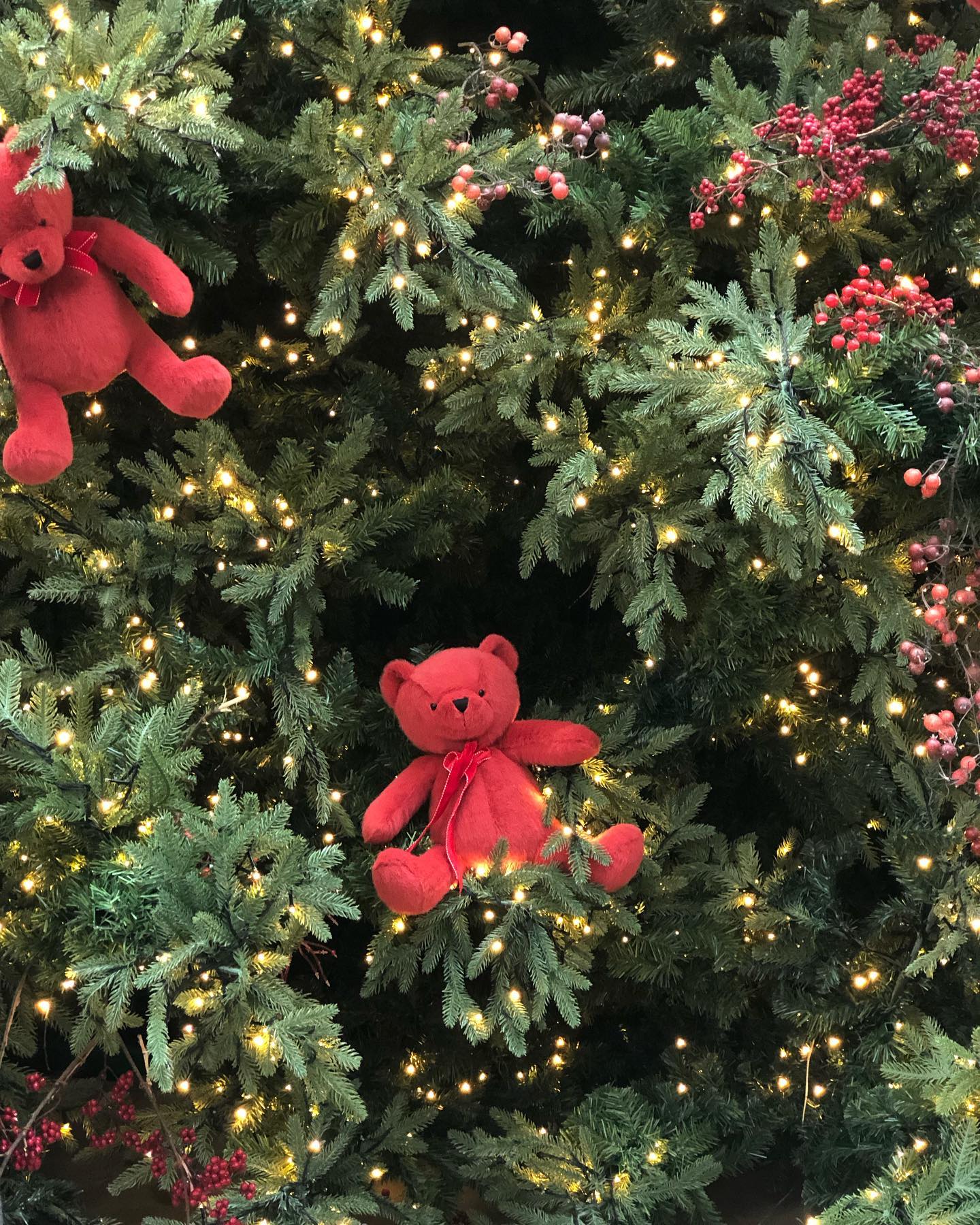 221224
𝙃𝙤𝙝𝙤𝙝𝙤- (*´꒳`) ᴹᵉʳʳʸ ᶜʰʳⁱˢᵗᵐᵃˢ ~🎄･*:⋆゜